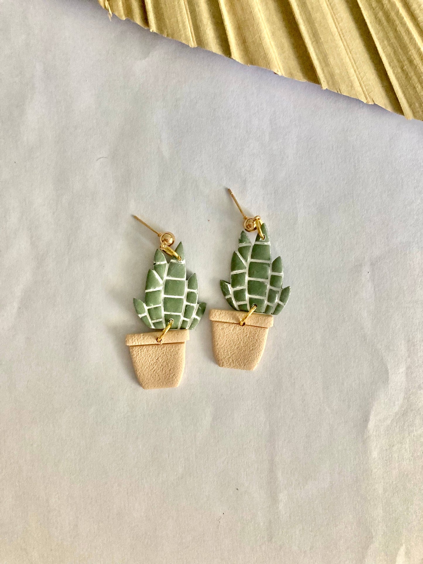 Snake Plant
