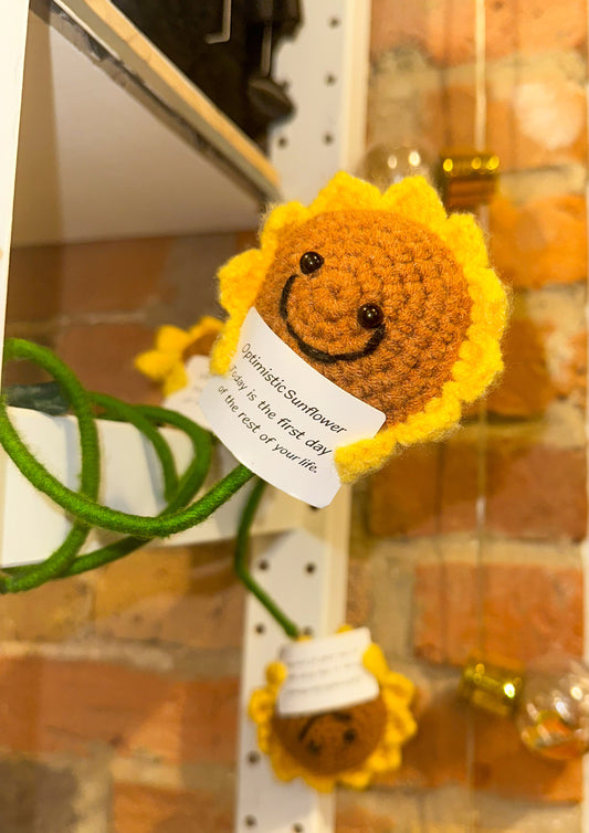 Emotional Support Plushies