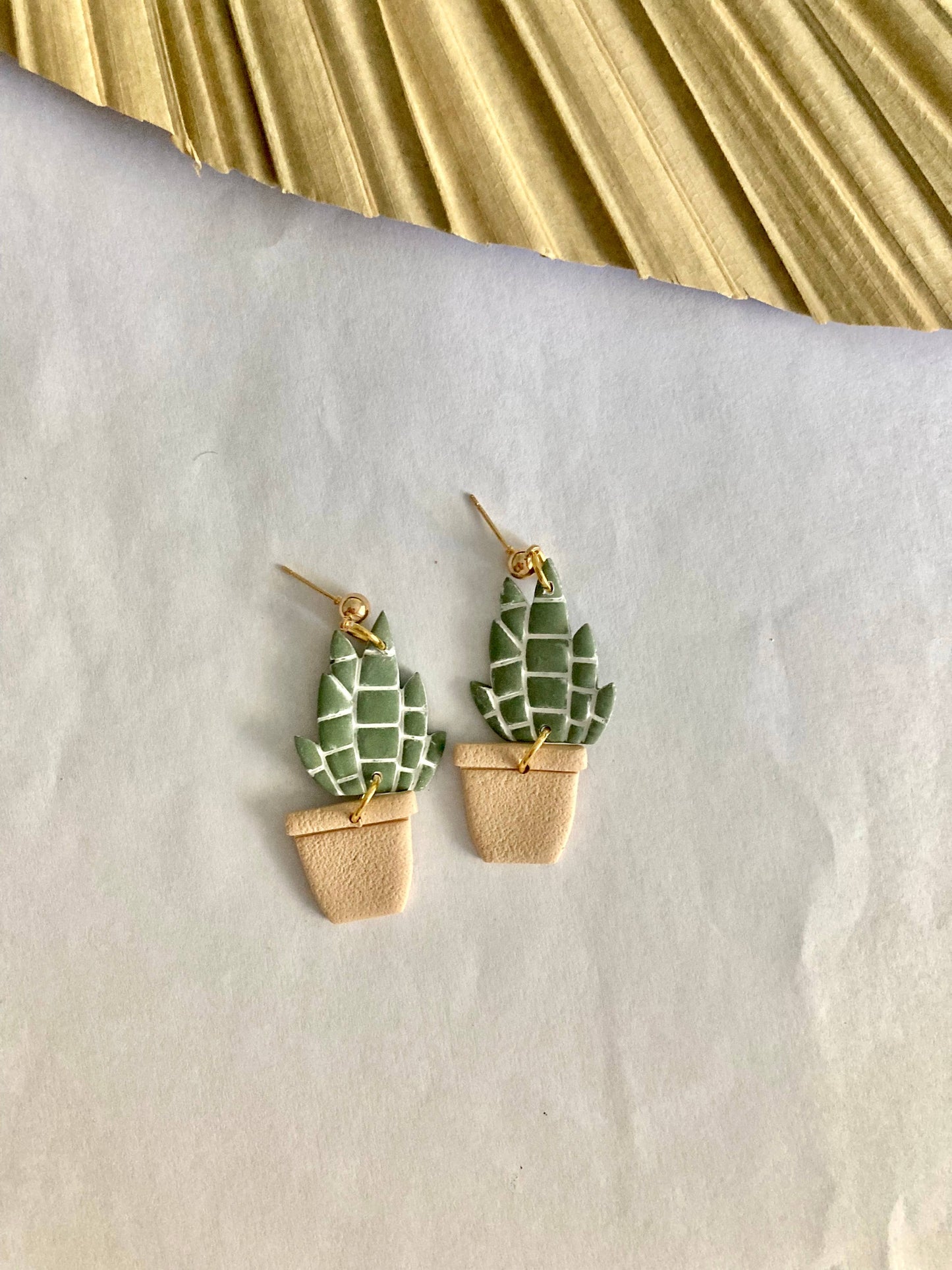 Snake Plant