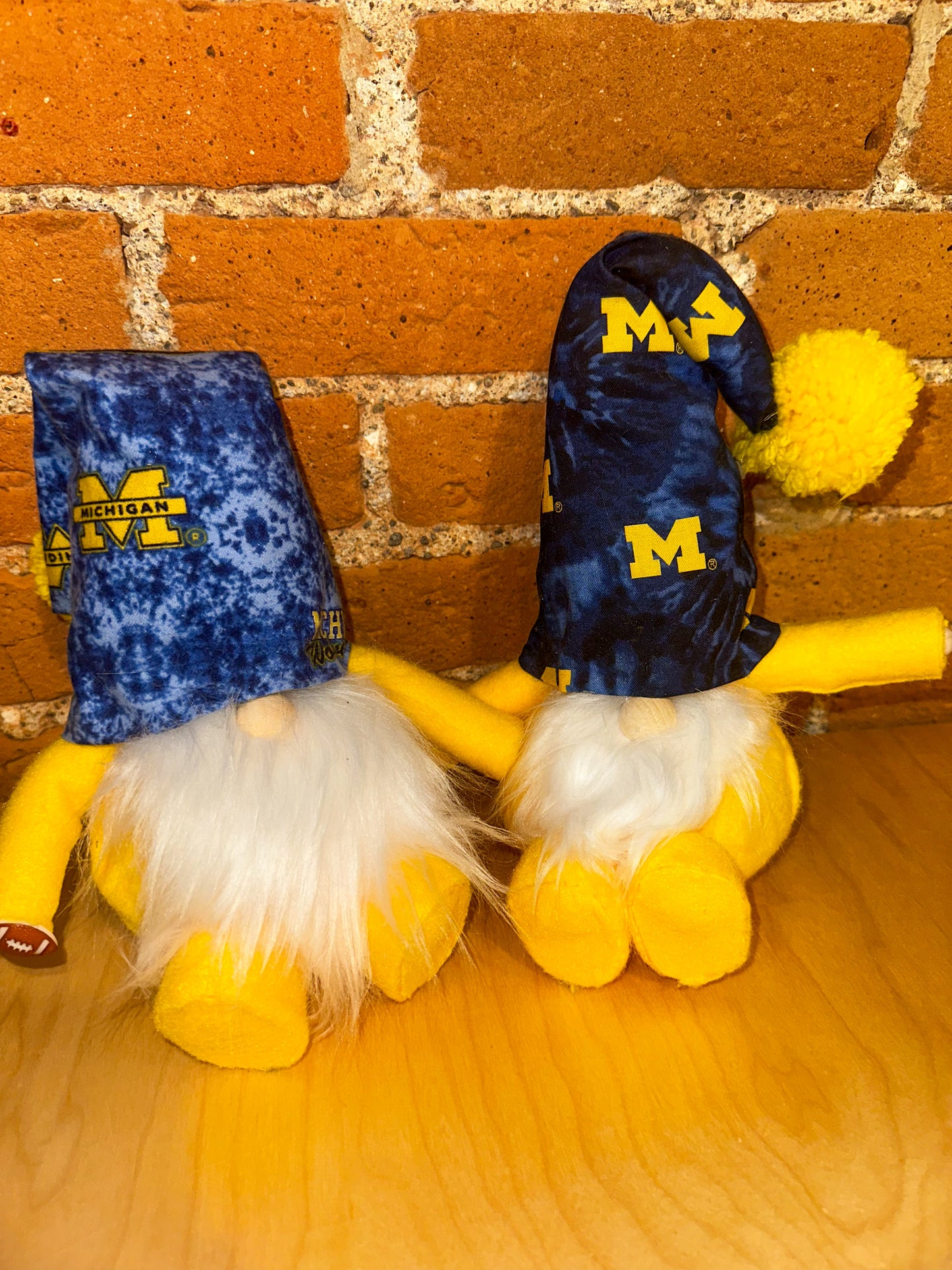 Michigan U of M Gnome