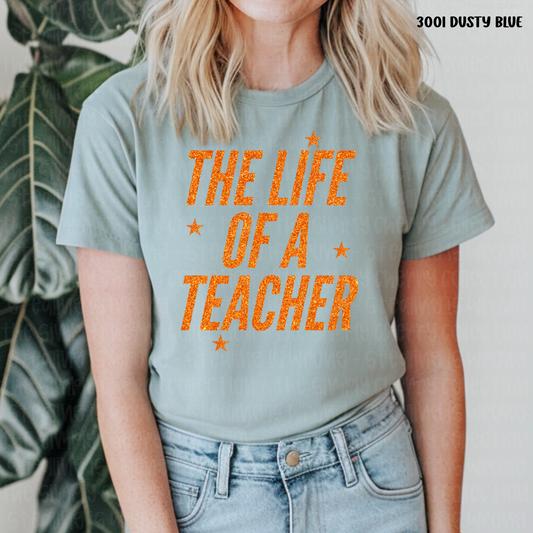 The Life of a Teacher