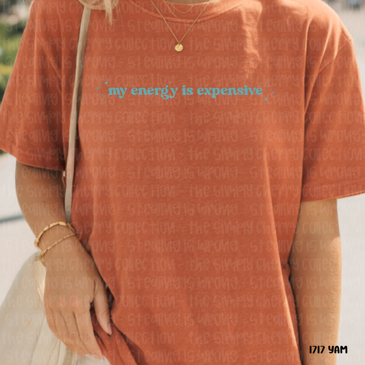 My Energy is Expensive