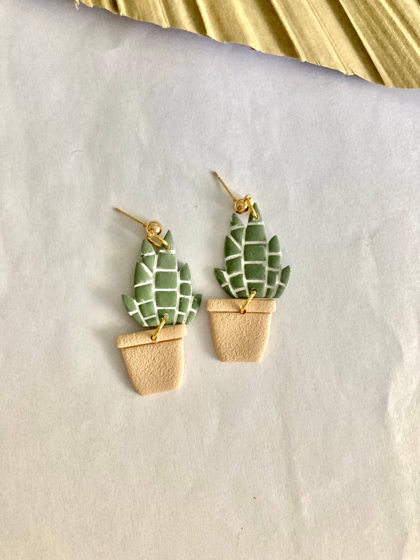 Snake Plant