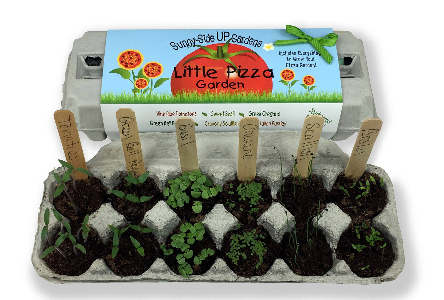 Little Pizza Garden Grow Kit