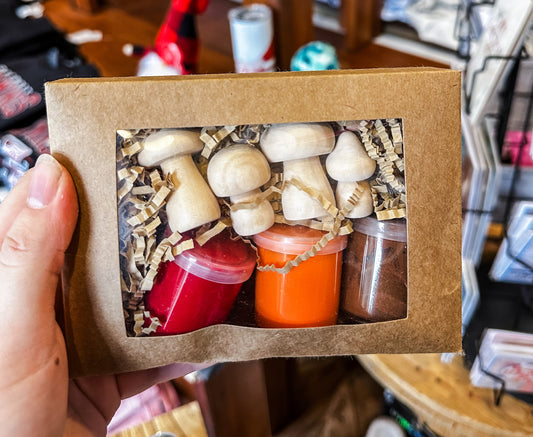 Mushroom Paint Kit