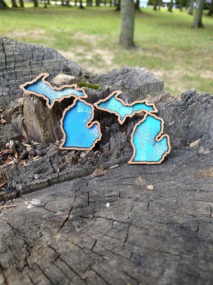 Michigan shaped Magnets: Michigan