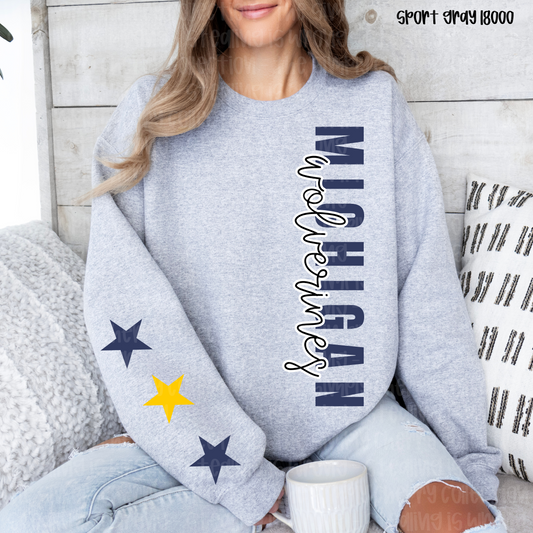 UofM Spirit Sleeve