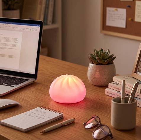 Pookie Mood Dumpling LED Light