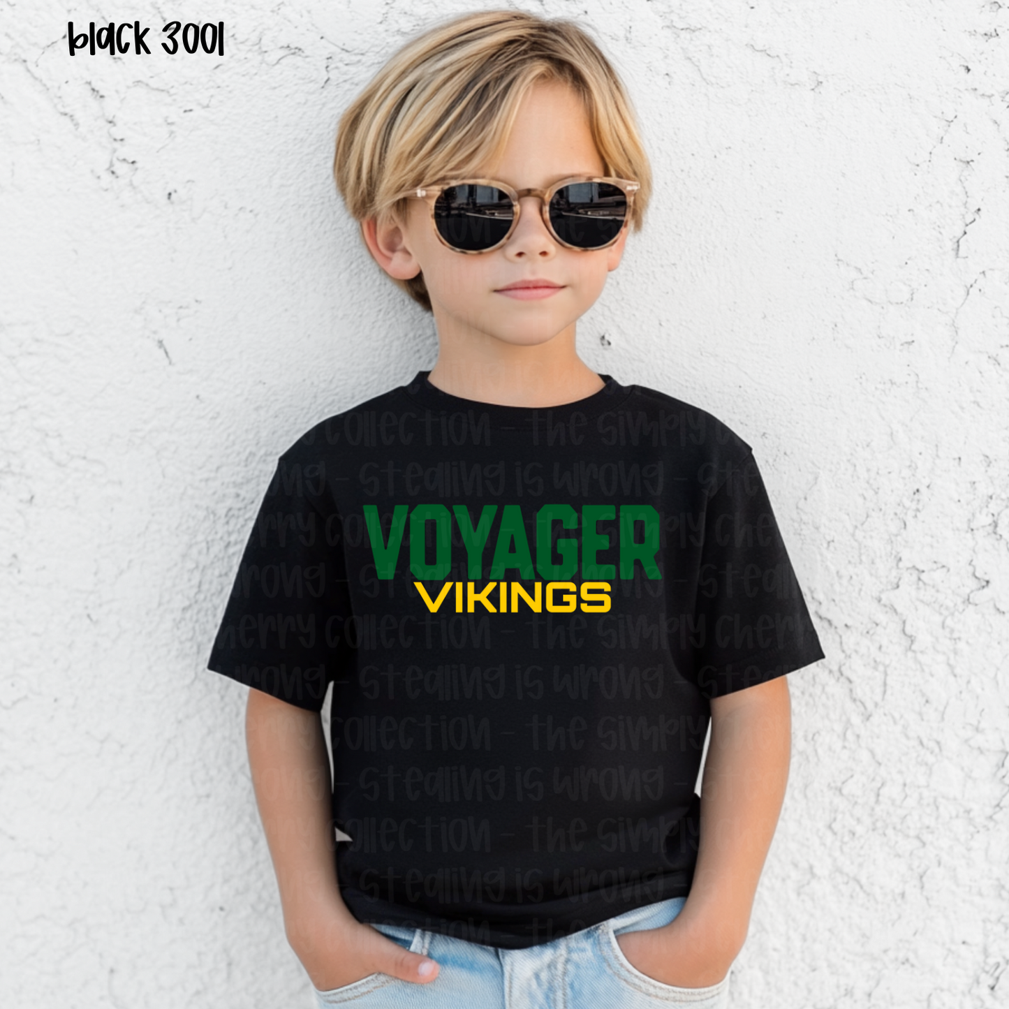 Voyager Vikings Block