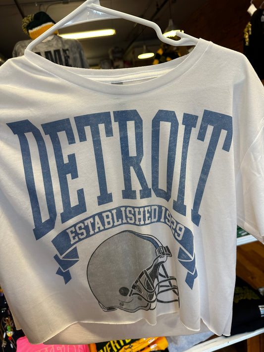 Detroit 1929 Banner