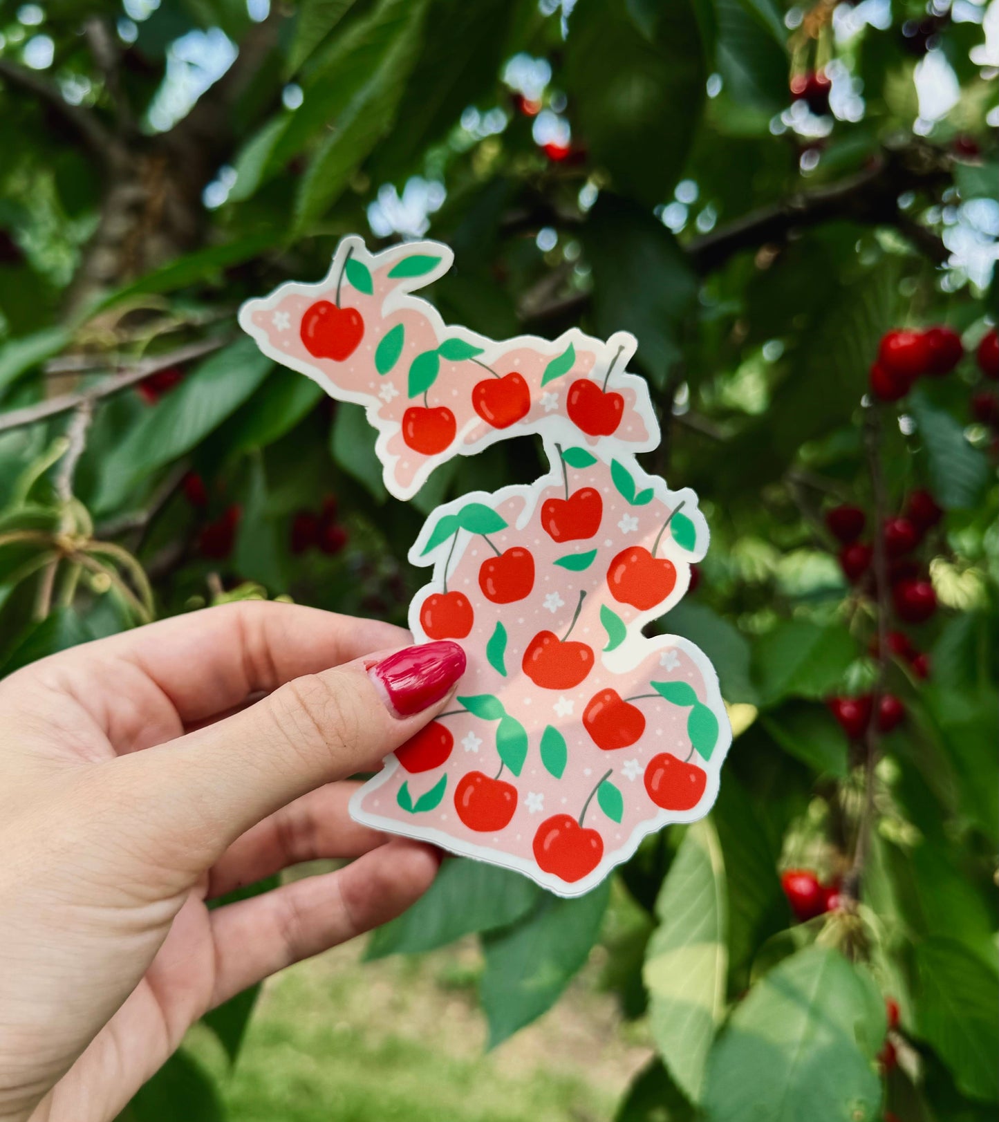 Michigan Cherry Sticker — Waterproof & Outdoor Ready