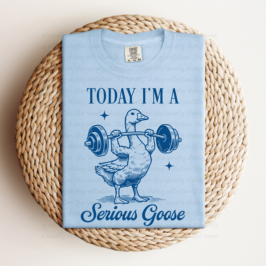 Today I'm a Serious Goose