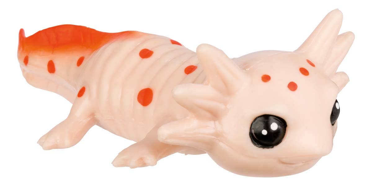 Aquoddities Squishimals