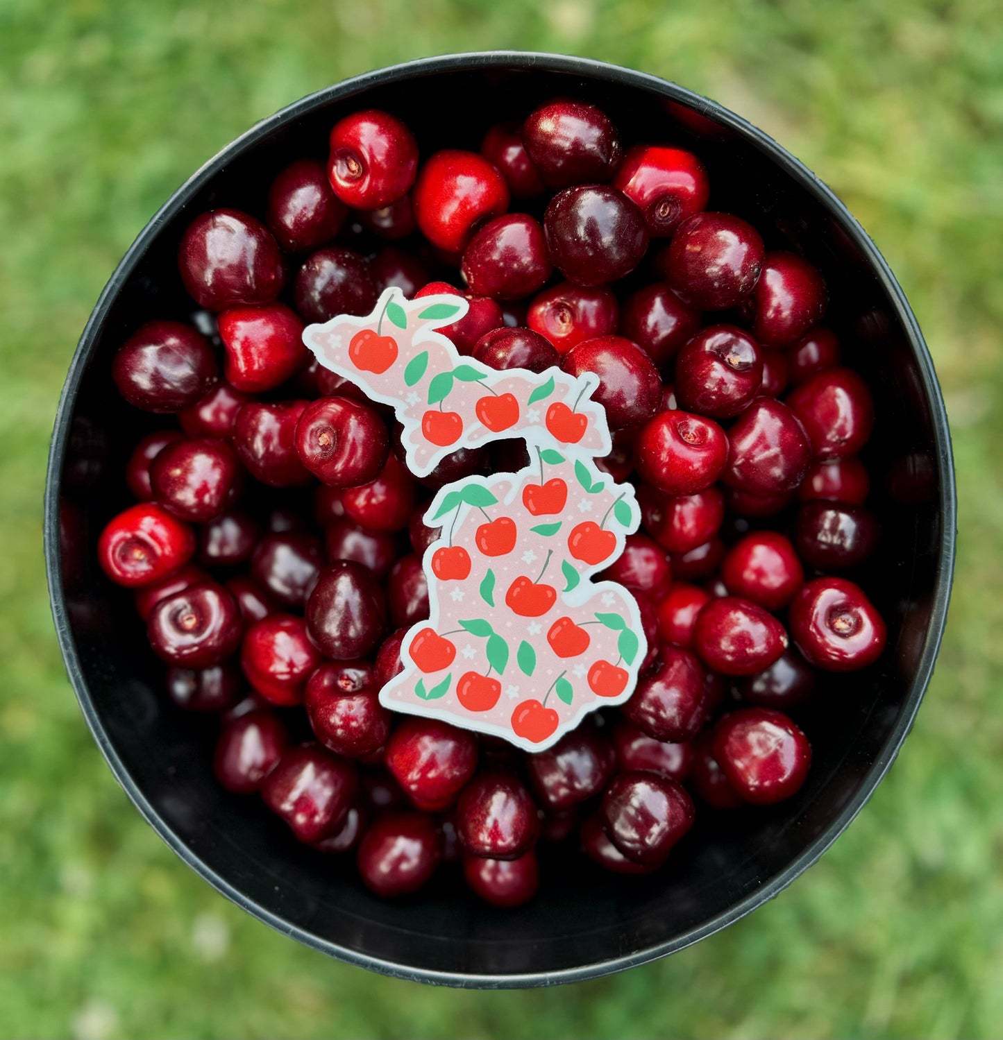 Michigan Cherry Sticker — Waterproof & Outdoor Ready