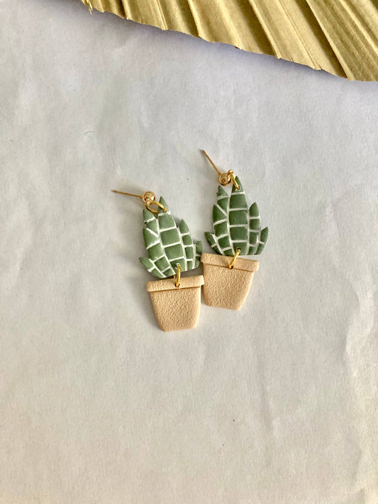 Snake Plant